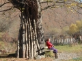 Осенние фото-зарисовки из Цхинвальского района Южной Осетии