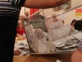 IMG_8746